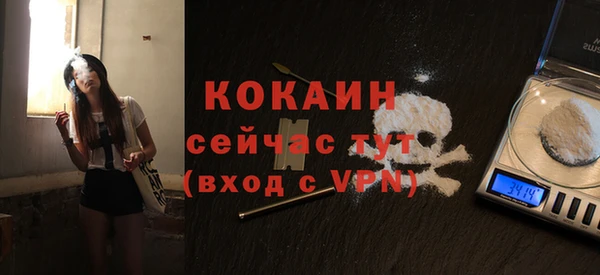 хмурый Арсеньев