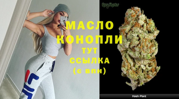 хмурый Арсеньев