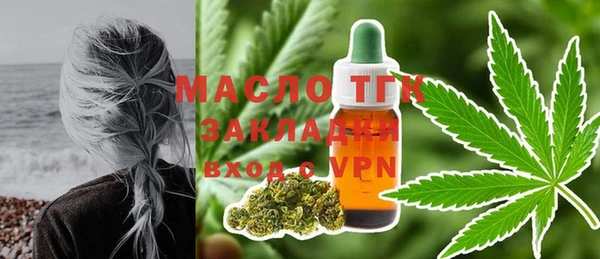 хмурый Арсеньев