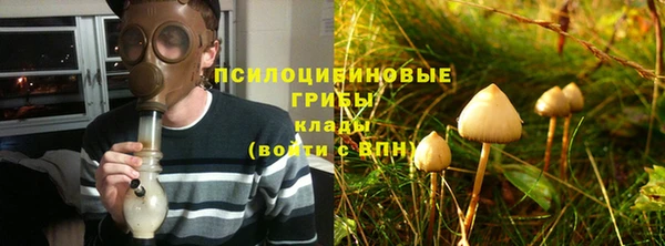 круглые Аркадак