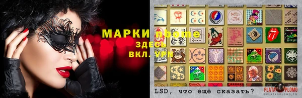 дурь Армянск